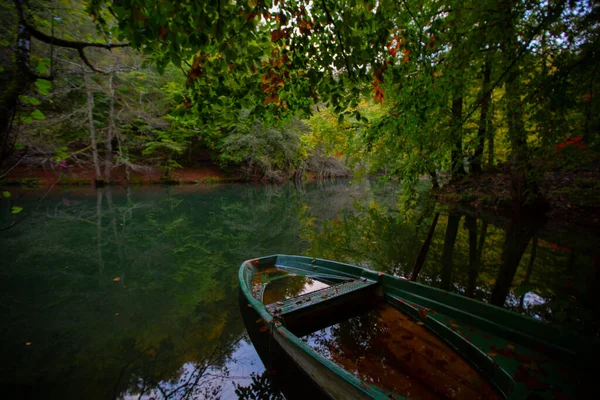 Forêts Yenice Est Une Forêt Située Intérieur Des Frontières Province — Photo