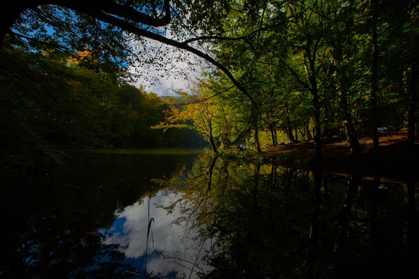 Yenice Ormanları, Yenice ilçesinin Karabk ilinin sınırları içinde yer alan bir ormandır. İlçeden de ismini alır..