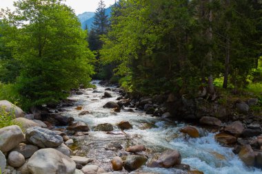 Trovit Platosu, Rize 'nin Amlhemin ilçesine ve 64 km uzaklıktadır. Eğer Amlhemin 'den yola çıkarsanız, yeşili takip edip sırasıyla Elevit, Trovit platosundaki iniva, Zilkale' ye kadar ilerlersiniz..