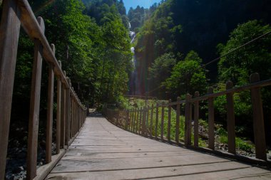 Tar Deresi ve Bulut Şelalesi yolu, özellikle sonbaharda Karadeniz 'den geçenlerin kesinlikle ziyaret etmesi gereken bir nokta.