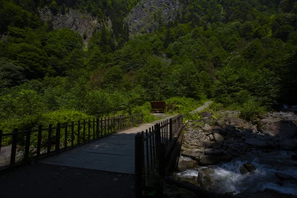 Tar Deresi Och Bulut Waterfall Road Punkt Som Definitivt Bör — Stockfoto