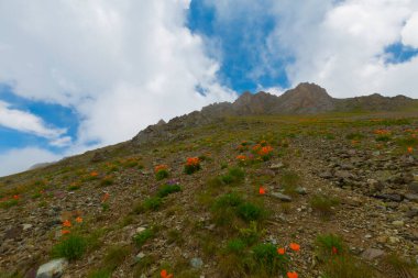 Ambarl Platosu, Rize 'nin Amlhemin ilçesinin dağlık bir bölgesinde yer alan bir platodur. Amlhemin 'den 46 km, Hemin' den 42 km ve Ayeli 'den 57 km uzaklıktadır..