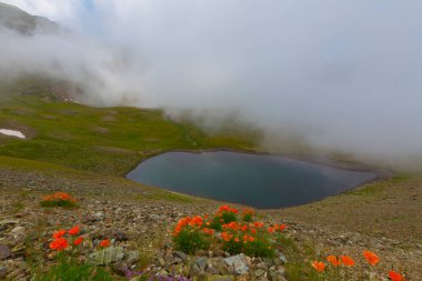 Ambarl Platosu, Rize 'nin Amlhemin ilçesinin dağlık bir bölgesinde yer alan bir platodur. Amlhemin 'den 46 km, Hemin' den 42 km ve Ayeli 'den 57 km uzaklıktadır..