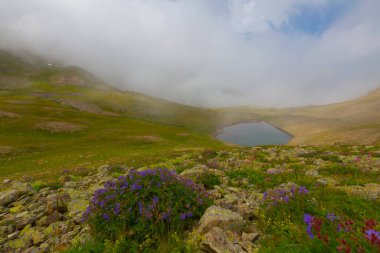 Ambarl Platosu, Rize 'nin Amlhemin ilçesinin dağlık bir bölgesinde yer alan bir platodur. Amlhemin 'den 46 km, Hemin' den 42 km ve Ayeli 'den 57 km uzaklıktadır..