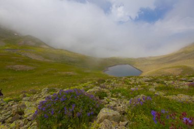 Ambarl Platosu, Rize 'nin Amlhemin ilçesinin dağlık bir bölgesinde yer alan bir platodur. Amlhemin 'den 46 km, Hemin' den 42 km ve Ayeli 'den 57 km uzaklıktadır..