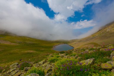 Ambarl Platosu, Rize 'nin Amlhemin ilçesinin dağlık bir bölgesinde yer alan bir platodur. Amlhemin 'den 46 km, Hemin' den 42 km ve Ayeli 'den 57 km uzaklıktadır..