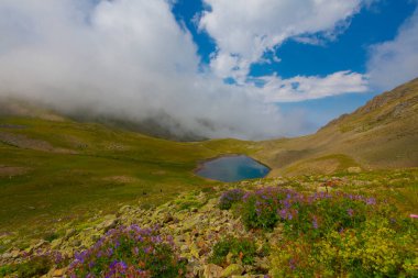 Ambarl Platosu, Rize 'nin Amlhemin ilçesinin dağlık bir bölgesinde yer alan bir platodur. Amlhemin 'den 46 km, Hemin' den 42 km ve Ayeli 'den 57 km uzaklıktadır..