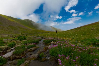 Ambarl Platosu, Rize 'nin Amlhemin ilçesinin dağlık bir bölgesinde yer alan bir platodur. Amlhemin 'den 46 km, Hemin' den 42 km ve Ayeli 'den 57 km uzaklıktadır..