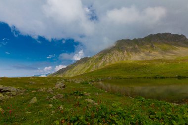 Ambarl Platosu, Rize 'nin Amlhemin ilçesinin dağlık bir bölgesinde yer alan bir platodur. Amlhemin 'den 46 km, Hemin' den 42 km ve Ayeli 'den 57 km uzaklıktadır..