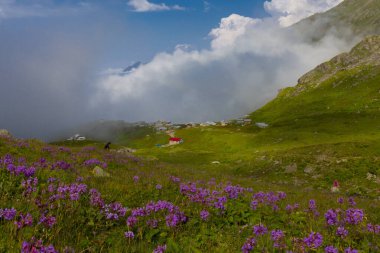 Ambarl Platosu, Rize 'nin Amlhemin ilçesinin dağlık bir bölgesinde yer alan bir platodur. Amlhemin 'den 46 km, Hemin' den 42 km ve Ayeli 'den 57 km uzaklıktadır..