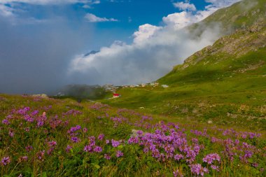 Ambarl Platosu, Rize 'nin Amlhemin ilçesinin dağlık bir bölgesinde yer alan bir platodur. Amlhemin 'den 46 km, Hemin' den 42 km ve Ayeli 'den 57 km uzaklıktadır..