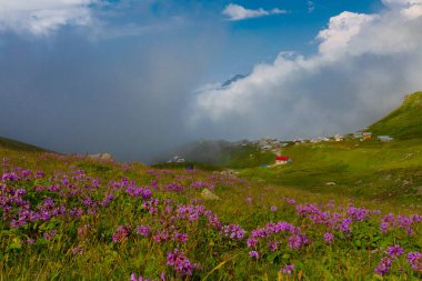 Ambarl Platosu, Rize 'nin Amlhemin ilçesinin dağlık bir bölgesinde yer alan bir platodur. Amlhemin 'den 46 km, Hemin' den 42 km ve Ayeli 'den 57 km uzaklıktadır..