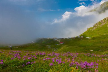 Ambarl Platosu, Rize 'nin Amlhemin ilçesinin dağlık bir bölgesinde yer alan bir platodur. Amlhemin 'den 46 km, Hemin' den 42 km ve Ayeli 'den 57 km uzaklıktadır..
