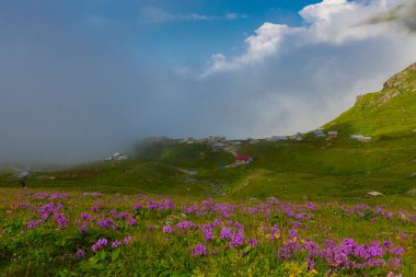 Ambarl Platosu, Rize 'nin Amlhemin ilçesinin dağlık bir bölgesinde yer alan bir platodur. Amlhemin 'den 46 km, Hemin' den 42 km ve Ayeli 'den 57 km uzaklıktadır..