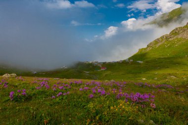 Ambarl Platosu, Rize 'nin Amlhemin ilçesinin dağlık bir bölgesinde yer alan bir platodur. Amlhemin 'den 46 km, Hemin' den 42 km ve Ayeli 'den 57 km uzaklıktadır..
