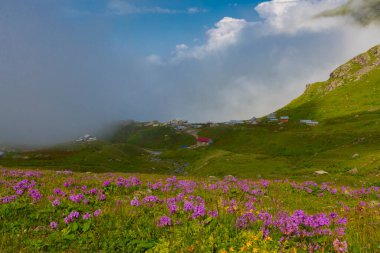 Ambarl Platosu, Rize 'nin Amlhemin ilçesinin dağlık bir bölgesinde yer alan bir platodur. Amlhemin 'den 46 km, Hemin' den 42 km ve Ayeli 'den 57 km uzaklıktadır..