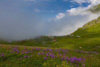 Ambarl Platosu, Rize 'nin Amlhemin ilçesinin dağlık bir bölgesinde yer alan bir platodur. Amlhemin 'den 46 km, Hemin' den 42 km ve Ayeli 'den 57 km uzaklıktadır..