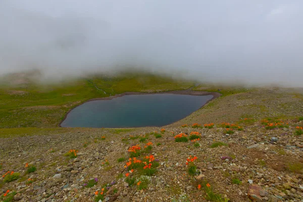 Ambarl Platosu Rize Nin Amlhemin Ilçesinin Dağlık Bir Bölgesinde Yer — Stok fotoğraf