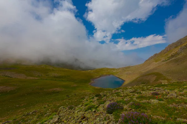 Ambarl Platosu Rize Nin Amlhemin Ilçesinin Dağlık Bir Bölgesinde Yer — Stok fotoğraf