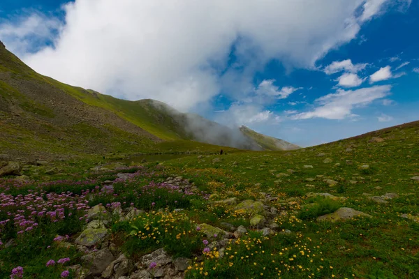 Ambarl Platosu Rize Nin Amlhemin Ilçesinin Dağlık Bir Bölgesinde Yer — Stok fotoğraf