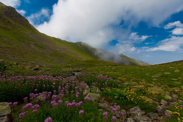 Ambarl Plateau Een Plateau Gelegen Een Bergachtig Gebied Het District — Stockfoto