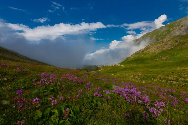 Ambarl Plateau 지역의 지역에 고원이다 민에서 킬로미터 민에서 킬로미터 엘리에서 — 스톡 사진