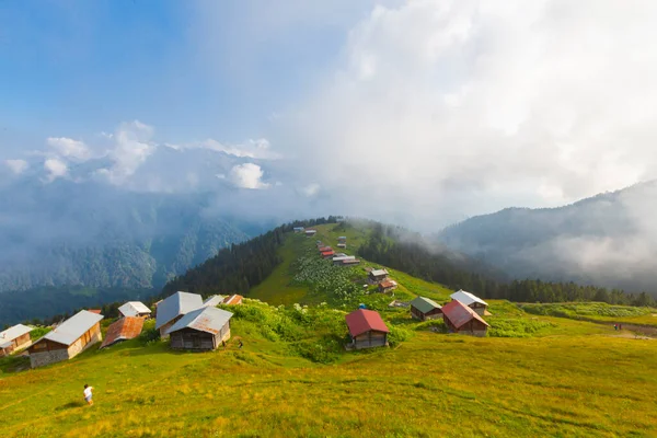 Lugares Para Visitar Meseta Pokut Rize Meseta Situada Sur Del — Foto de Stock