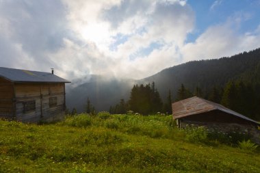 Ziyaret edilecek yerler. Pokut Platosu - Rize. Frtna ve Hala nehirlerinin oluşturduğu vadiler arasında, Amlhemin Bölgesi 'nin güneyinde yer alan plato. ...