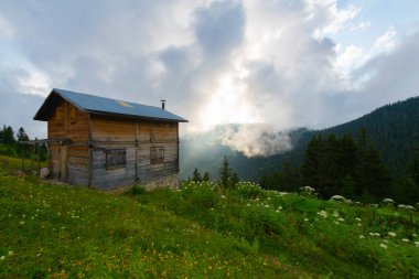 Ziyaret edilecek yerler. Pokut Platosu - Rize. Frtna ve Hala nehirlerinin oluşturduğu vadiler arasında, Amlhemin Bölgesi 'nin güneyinde yer alan plato. ...