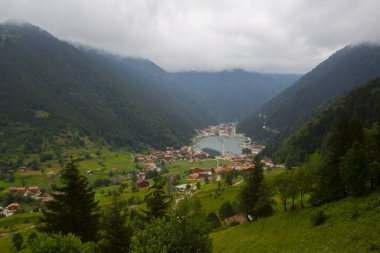 Ziyaret edilecek yerler. Pokut Platosu - Rize. Frtna ve Hala nehirlerinin oluşturduğu vadiler arasında, Amlhemin Bölgesi 'nin güneyinde yer alan plato. ...