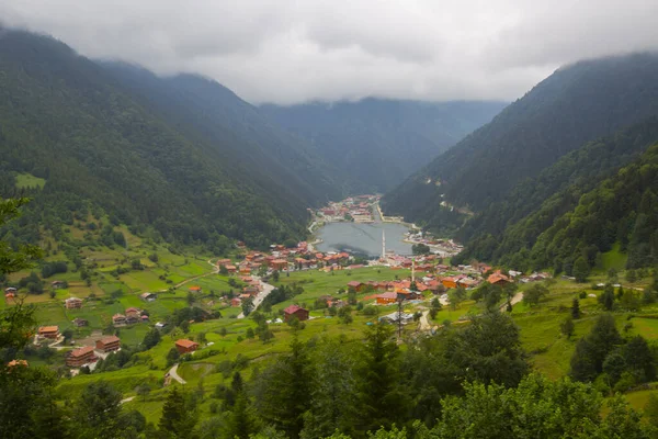 Platser Att Besöka Pokut Plateau Rize Platån Ligger Södra Delen — Stockfoto