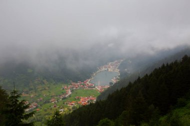Ziyaret edilecek yerler. Pokut Platosu - Rize. Frtna ve Hala nehirlerinin oluşturduğu vadiler arasında, Amlhemin Bölgesi 'nin güneyinde yer alan plato. ...