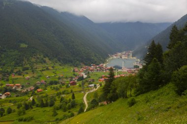 Uzungol, Türk Trabzon eyalette bir heyelan gölü kuruyor. Aykara ilçesinin Uzungl ilçesinde yer almaktadır. Haldizen akışını engelleyen yamaçlardan düşen kayalar tarafından oluşmuştur..