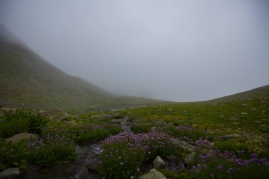 Uzungol, Türk Trabzon eyalette bir heyelan gölü kuruyor. Aykara ilçesinin Uzungl ilçesinde yer almaktadır. Haldizen akışını engelleyen yamaçlardan düşen kayalar tarafından oluşmuştur..
