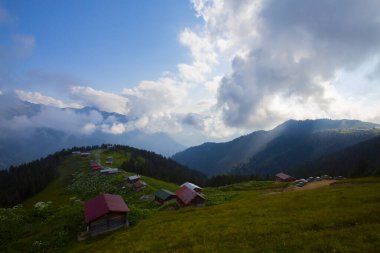 Platoya ulaştığınızda ve manzarayı gördüğünüzde az önceki yolun heyecanını hemen unutursunuz. Pokut 'un adı Ermenice geliyor, bölgedeki birçok plato gibi..