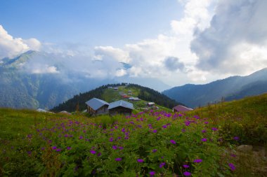 Platoya ulaştığınızda ve manzarayı gördüğünüzde az önceki yolun heyecanını hemen unutursunuz. Pokut 'un adı Ermenice geliyor, bölgedeki birçok plato gibi..