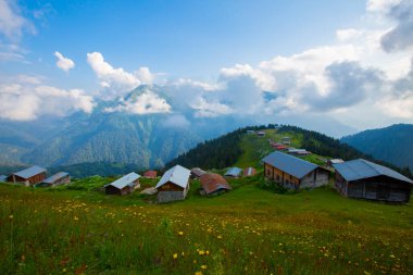 Platoya ulaştığınızda ve manzarayı gördüğünüzde az önceki yolun heyecanını hemen unutursunuz. Pokut 'un adı Ermenice geliyor, bölgedeki birçok plato gibi..