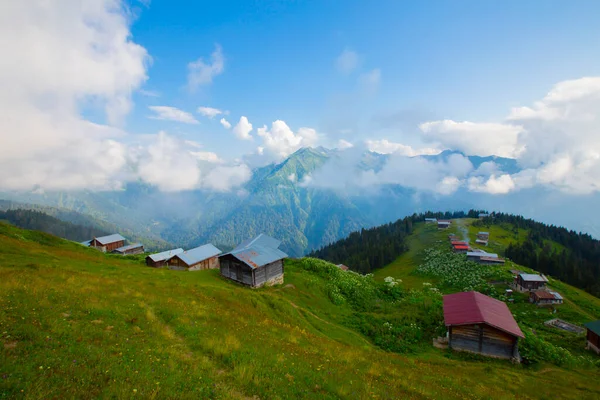 Platoya Ulaştığınızda Manzarayı Gördüğünüzde Önceki Yolun Heyecanını Hemen Unutursunuz Pokut — Stok fotoğraf