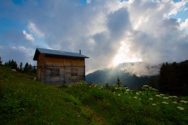 Platoya ulaştığınızda ve manzarayı gördüğünüzde az önceki yolun heyecanını hemen unutursunuz. Pokut 'un adı Ermenice geliyor, bölgedeki birçok plato gibi..