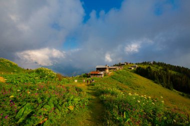 Platoya ulaştığınızda ve manzarayı gördüğünüzde az önceki yolun heyecanını hemen unutursunuz. Pokut 'un adı Ermenice geliyor, bölgedeki birçok plato gibi..