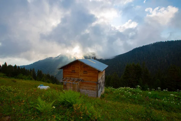 Lorsque Vous Atteignez Plateau Que Vous Voyez Vue Vous Oubliez — Photo