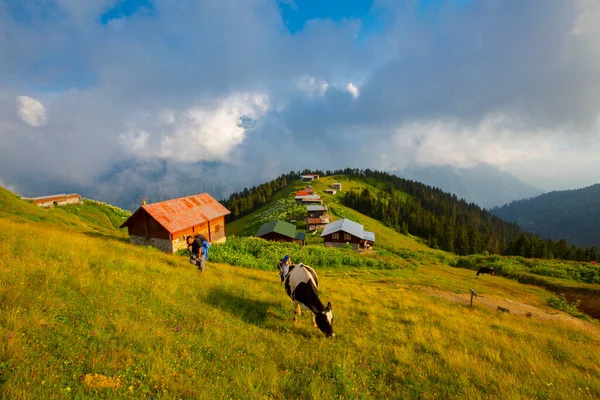 Quando Raggiunge Altopiano Vedere Vista Dimentica Immediatamente Emozione Quella Strada — Foto Stock