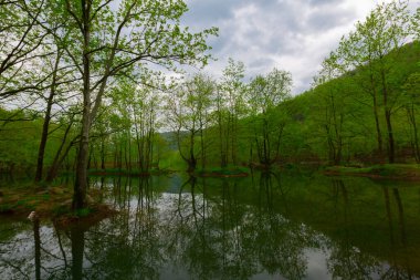 Erikli Platosu, Dipsiz Gölü ve orman ile çevrili bu doğa manzaralı gölün kıyısında basit kamp ve piknik alanları vardır..