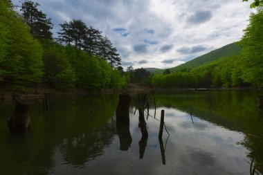 Erikli Platosu, Dipsiz Gölü ve orman ile çevrili bu doğa manzaralı gölün kıyısında basit kamp ve piknik alanları vardır..