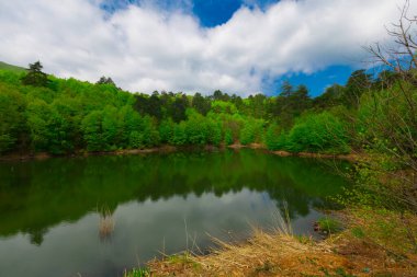 Erikli Platosu, Dipsiz Gölü ve orman ile çevrili bu doğa manzaralı gölün kıyısında basit kamp ve piknik alanları vardır..