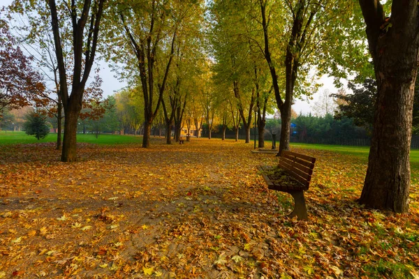 Soanl Botanic Park Que Dos Pontos Imperdíveis Bursa Escapa Vida — Fotografia de Stock