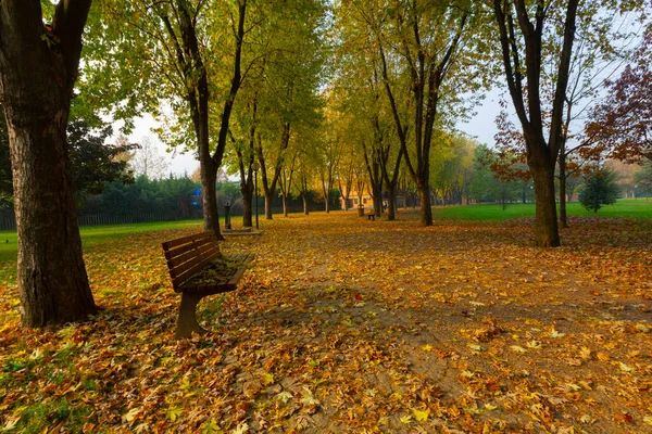 Soanl Botanic Park Que Dos Pontos Imperdíveis Bursa Escapa Vida — Fotografia de Stock