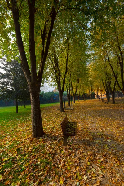 Soanl Botanic Park Que Dos Pontos Imperdíveis Bursa Escapa Vida — Fotografia de Stock