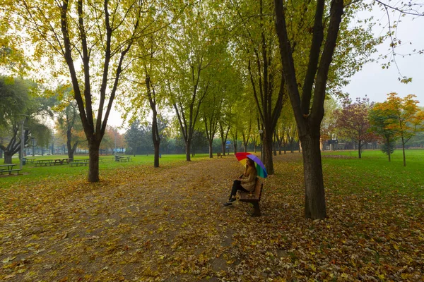 Soanl Botanic Park Który Jest Jednym Najważniejszych Punktów Bursa Ucieka — Zdjęcie stockowe