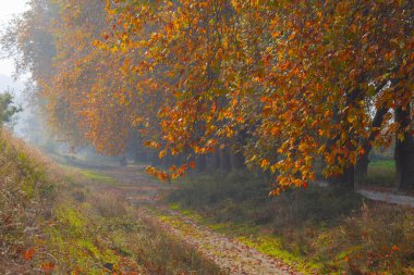 Bursa Lipsli Köyü ve Cinarli Yolu. Bursa, tarihi zenginliklerin ve doğal güzelliklerin her köşede keşfedilmeyi beklediği bir şehirdir..